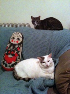Maimy and Chavie